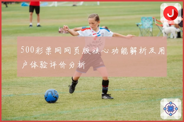 500彩票网网页版核心功能解析及用户体验评价分析